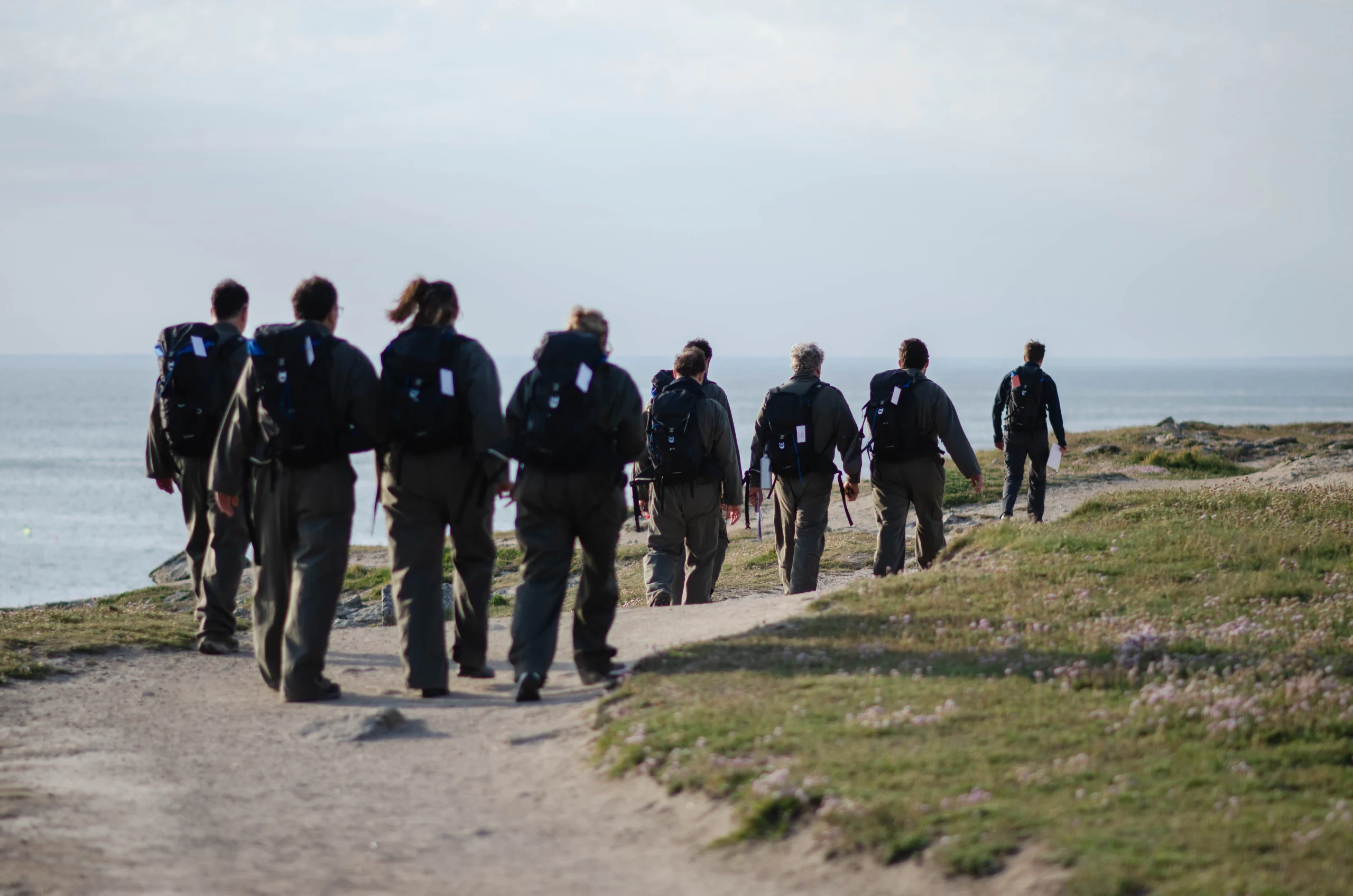 audacia skills formation management commerce marketing ia intelligence artificielle