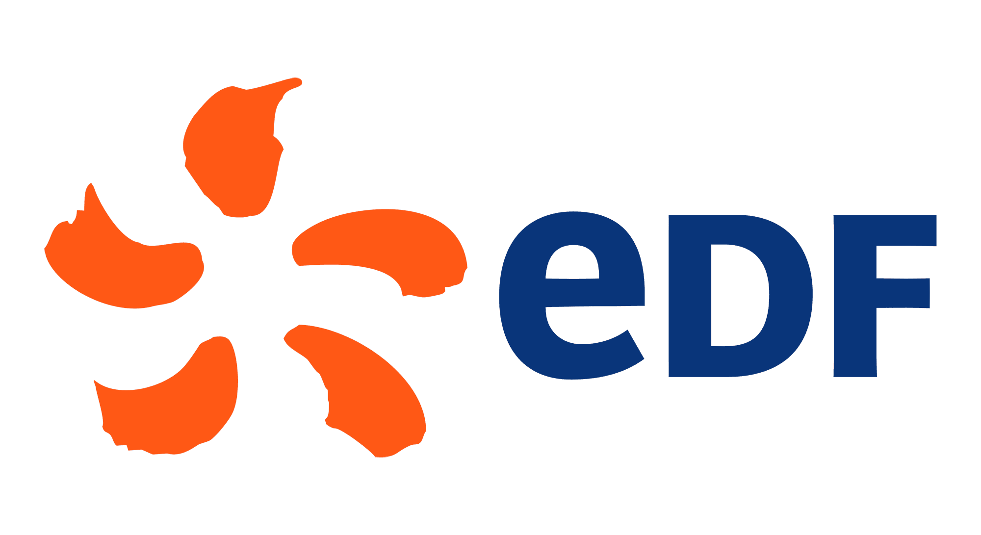 logo EDF client audacia skills formation